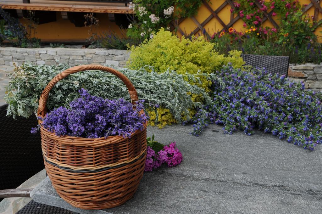 Sulamith Ferienhaus Mit Garten Sankt Kathrein am Offenegg Eksteriør bilde