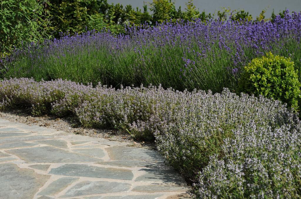 Sulamith Ferienhaus Mit Garten Sankt Kathrein am Offenegg Eksteriør bilde